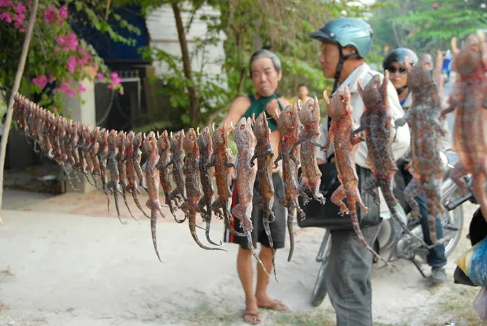 Du Lịch An Giang - Chợ Tịnh Biên