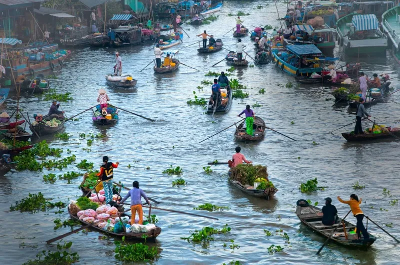 Du lịch Cà Mau có gì vui? Viet Fun Travel sẽ "bật mí" cho quý khách