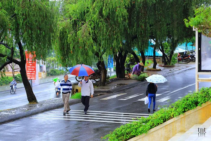 Du lịch Đà Lạt nên đi vào tháng mấy?