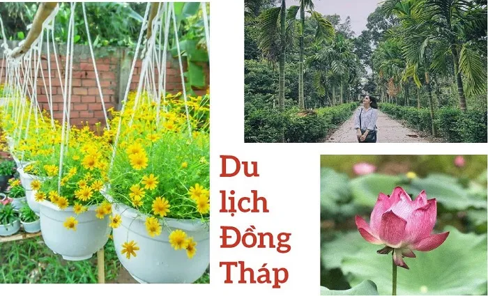 Du lịch Đồng Tháp có gì đẹp?