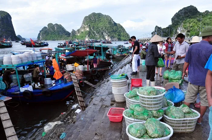 Du lịch Hạ Long bao nhiêu tiền?