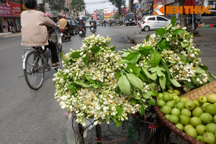 Du Lịch Hà Nội 12 Tháng Có Gì?