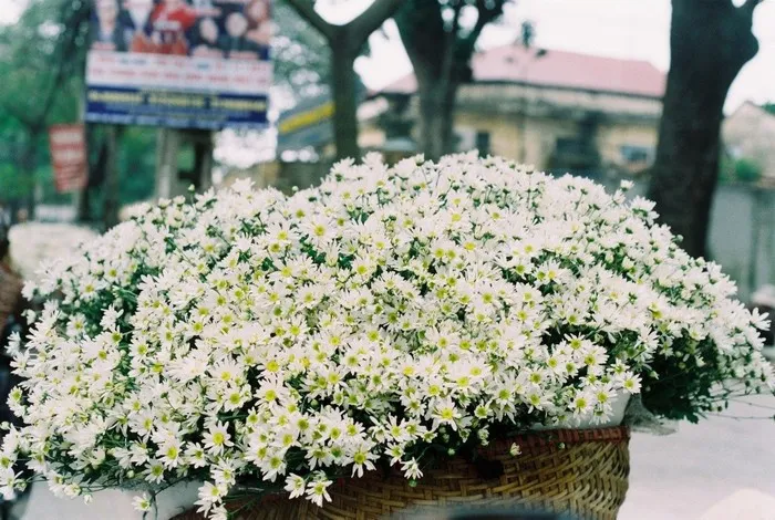 Du lịch Hà Nội nên đi vào thời gian nào?