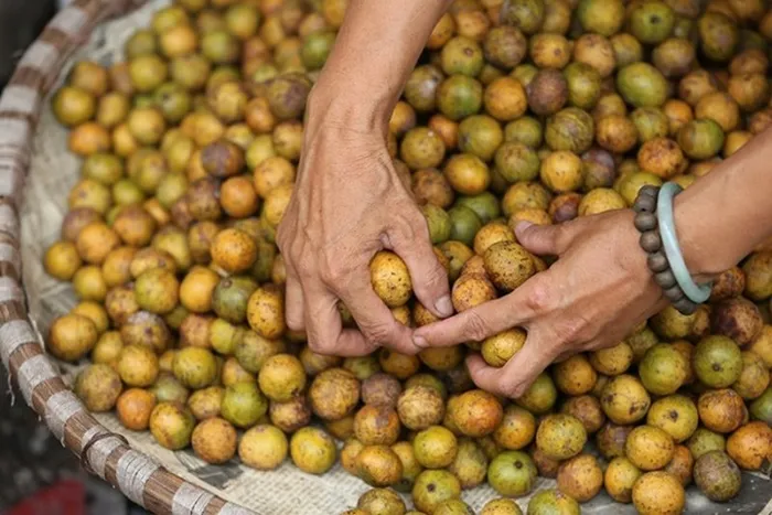 Du lịch Hà Nội nên đi vào thời gian nào?