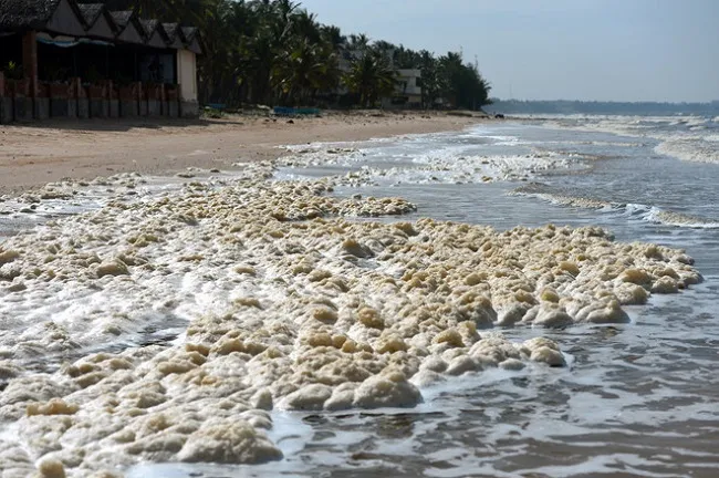 Du lịch Mũi Né nên đi vào mùa nào?