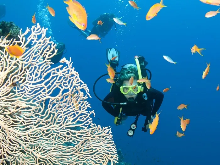 Du Lịch Nha Trang - Đảo Hòn Tằm