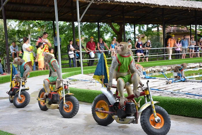 Du lịch Nha Trang nên đi những đâu?