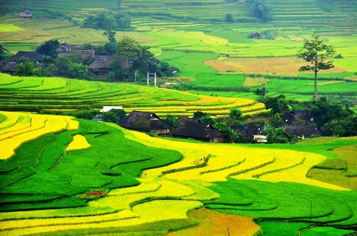 Du lịch Sapa bằng tàu hỏa