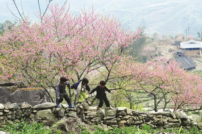 Du lịch Sapa bằng tàu hỏa