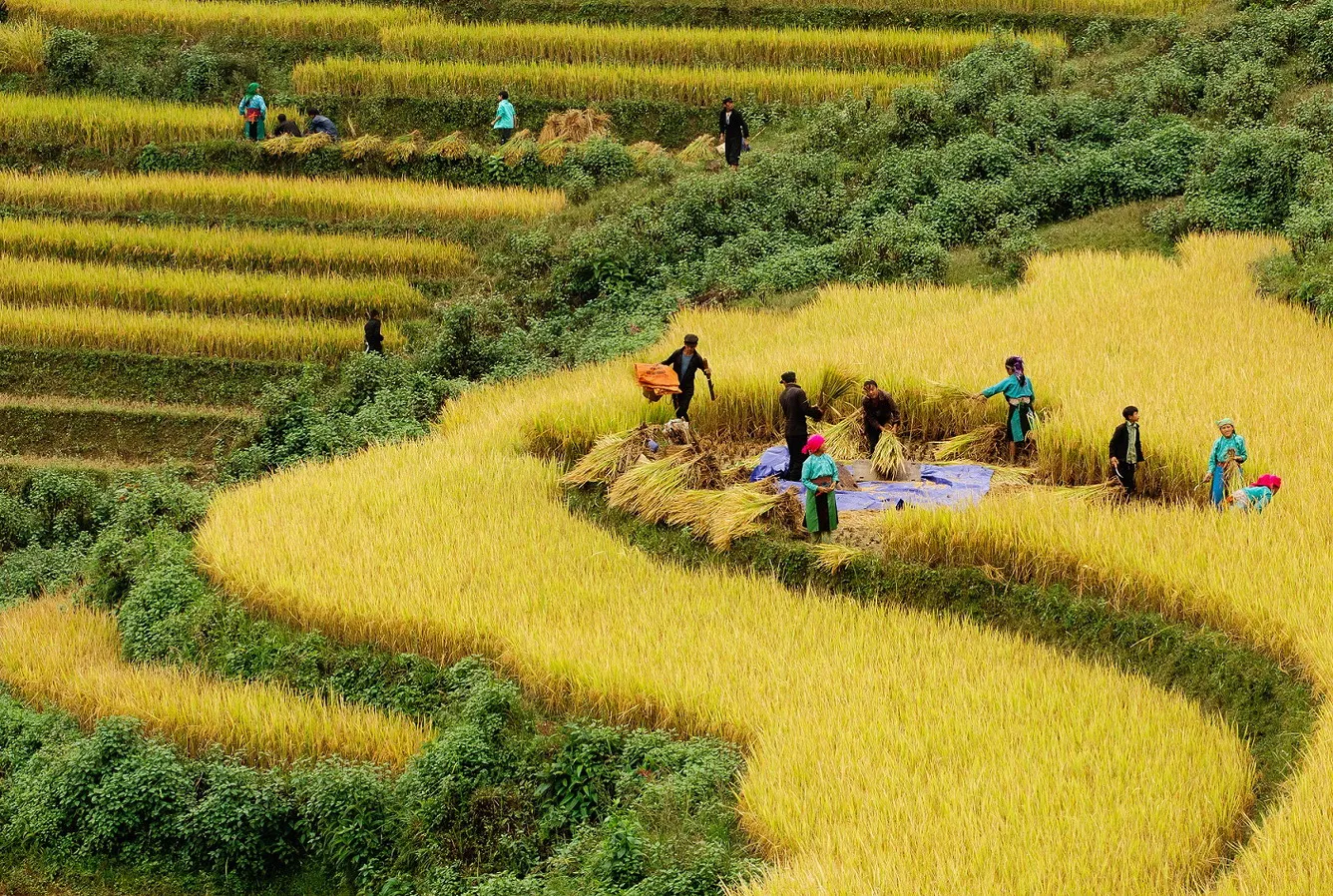 Du lịch Sapa có gì đặc sắc?