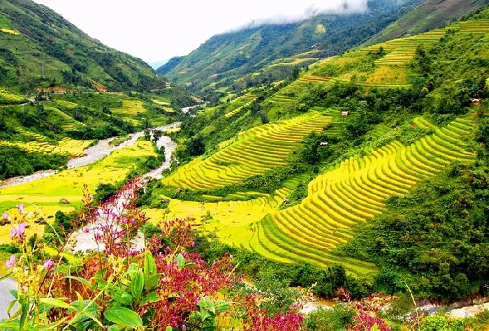 ​Du lịch Sapa có gì đẹp?