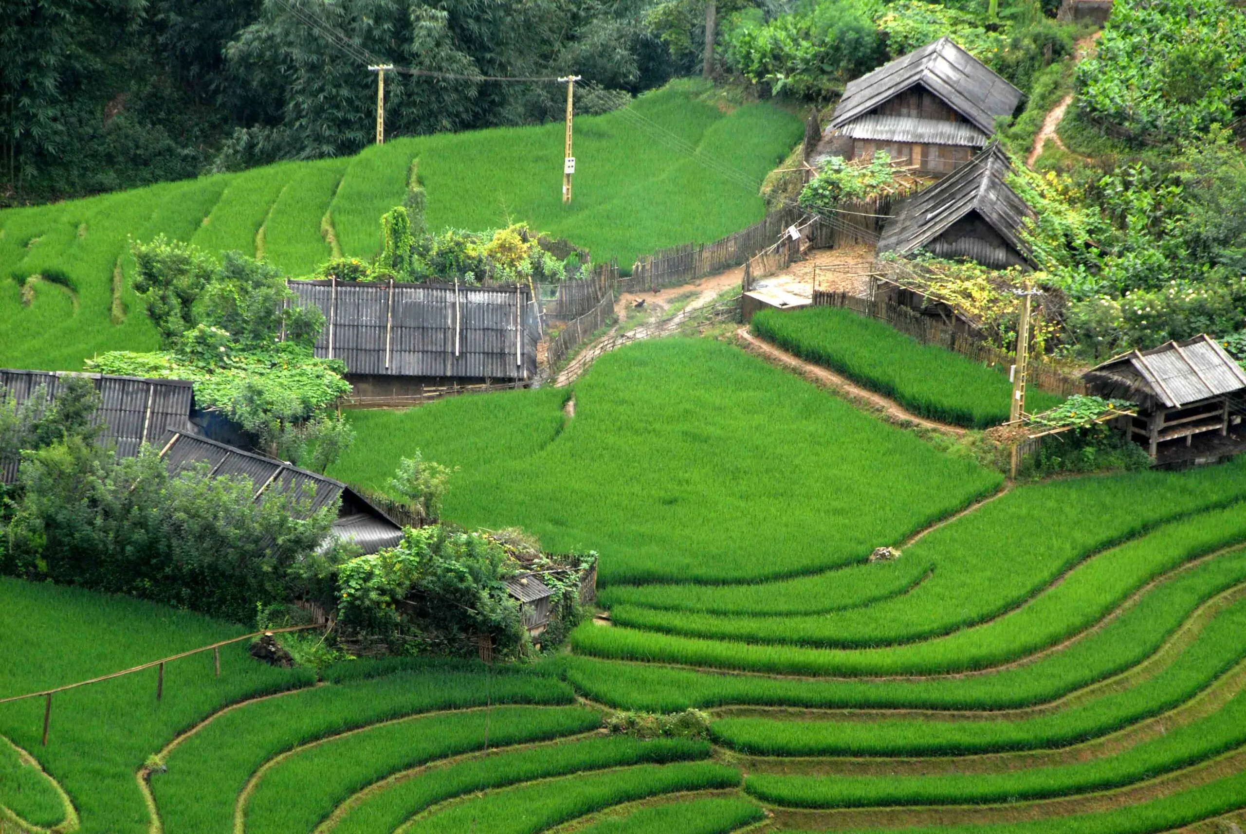 ​Du lịch Sapa nên đi mấy ngày?