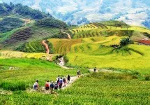 Du lịch Sapa tháng 10 có gì đẹp?