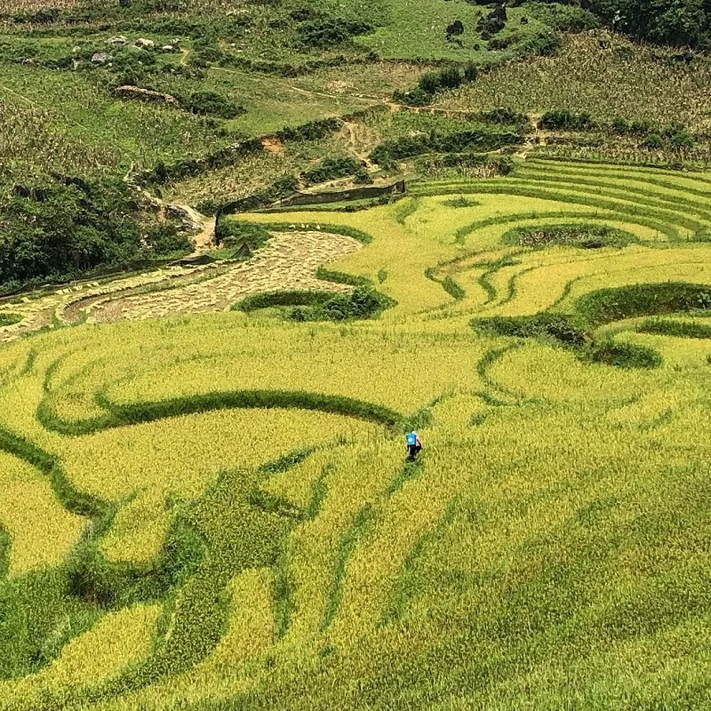 Du lịch Sapa tháng 8 và những điều thú vị "chưa kể"