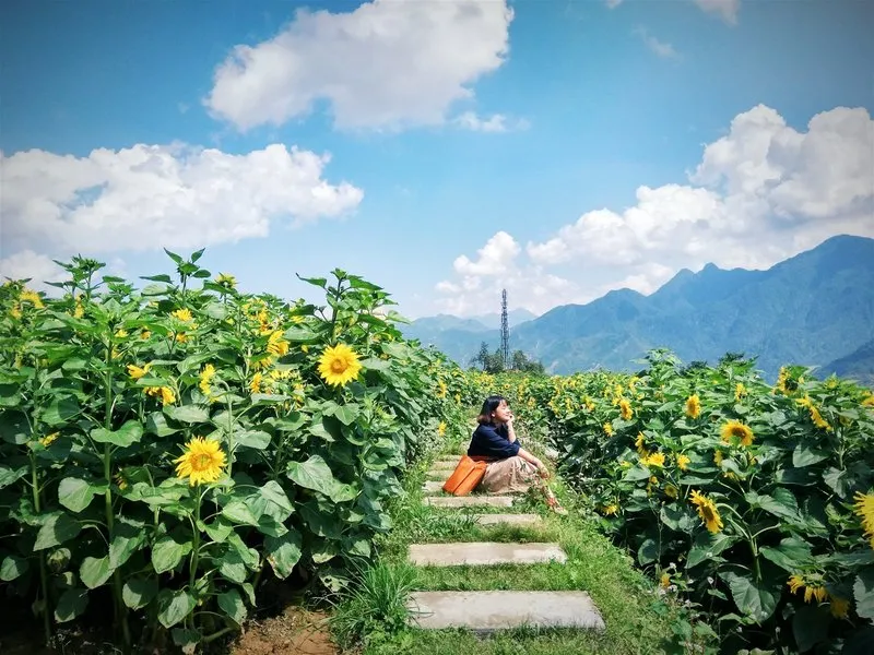 Du lịch Sapa trong những ngày tháng 8 bình yên