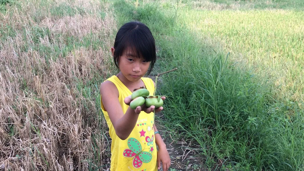 ​Du lịch về miền Tây: Tần ngần ăn trái bần chua