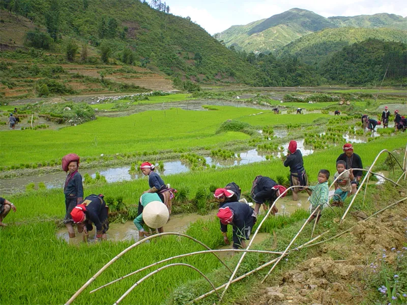 Ghé lại tham quan 5 bản làng đẹp ở Sapa khiến lòng người mê mẩn