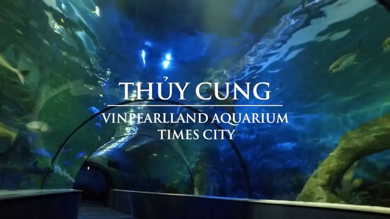 Giá vé vào khu vui chơi thủy cung Times City mới nhất 2022