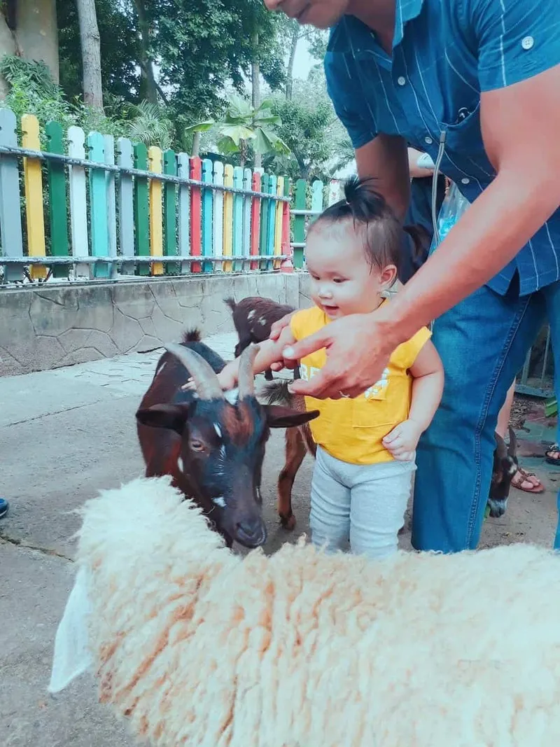 Giá vé vào tham quan Thảo Cầm Viên là bao nhiêu? Cập nhật 2021