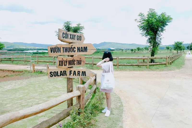 Giới thiệu đôi nét về trang trại bò sữa - Đà Lạt Milk Farm