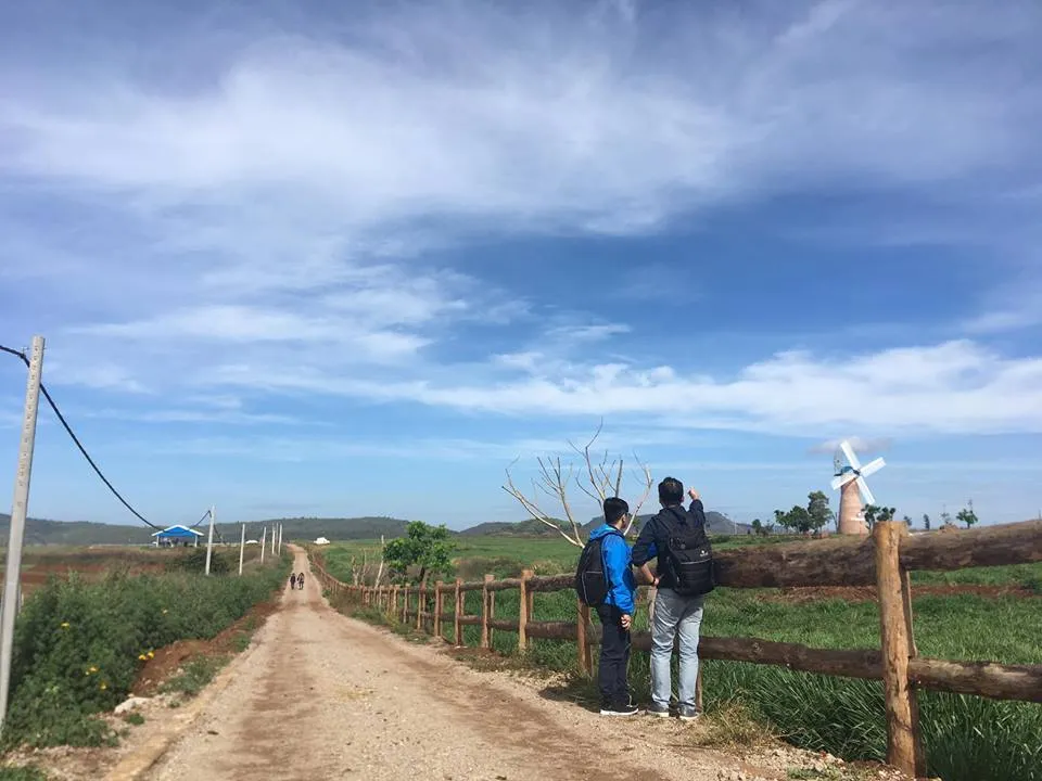 Giới thiệu đôi nét về trang trại bò sữa - Đà Lạt Milk Farm