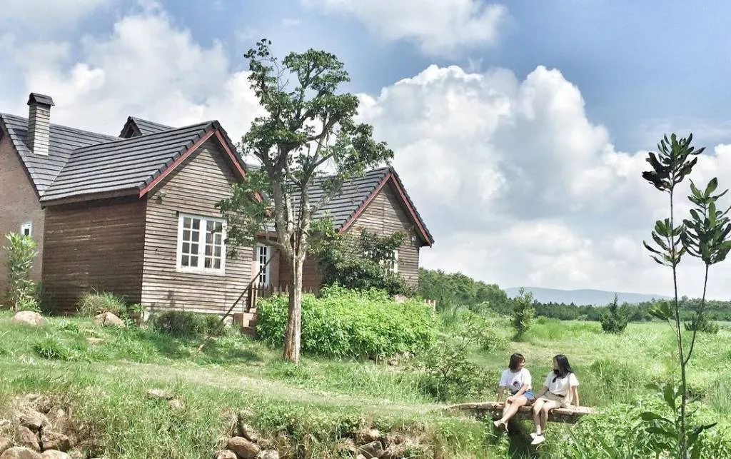 Giới thiệu đôi nét về trang trại bò sữa - Đà Lạt Milk Farm