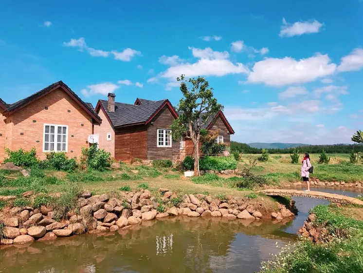 Giới thiệu đôi nét về trang trại bò sữa - Đà Lạt Milk Farm