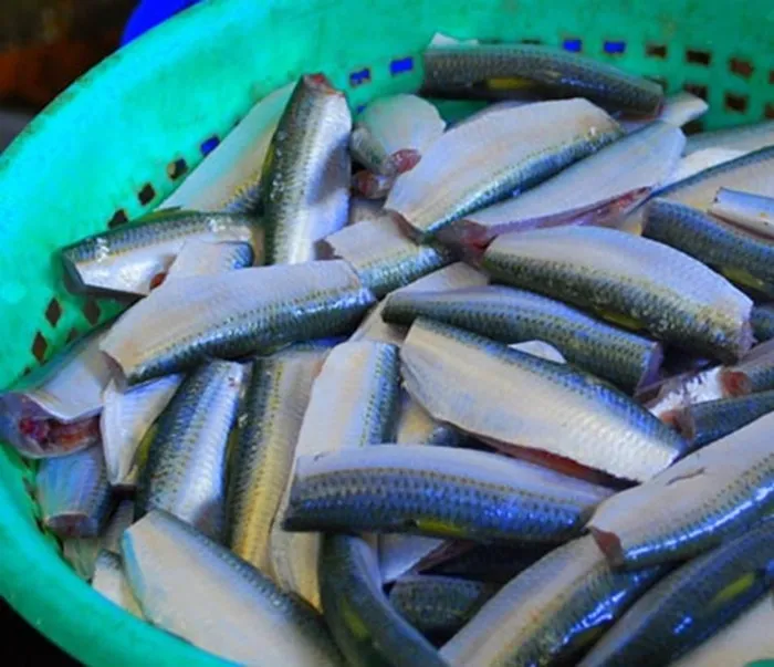 Gỏi cá trích – món ăn đặc sản nổi tiếng xứ Hà Tiên