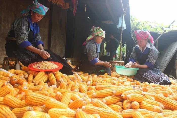 Gợi ý lịch trình đi du lịch Sapa tự túc 2 ngày 1 đêm