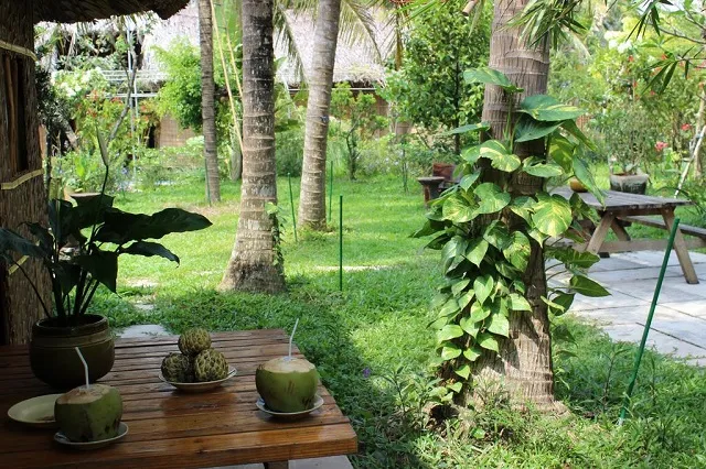 [HOT 2021] Top 10 Homestay đẹp ở miền Tây nhìn là muốn check - in ngay