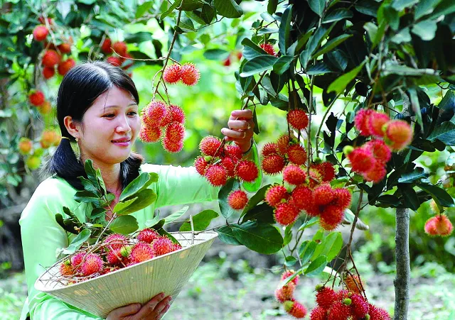 Hướng dẫn đường đi Trà Vinh từ Sài Gòn đầy đủ, chi tiết nhất