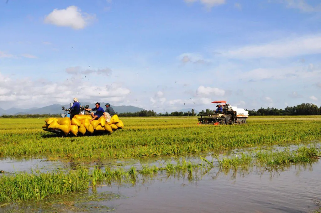 Kênh Vĩnh Tế - Công Trình Đáng Tự Hào Của Người An Giang