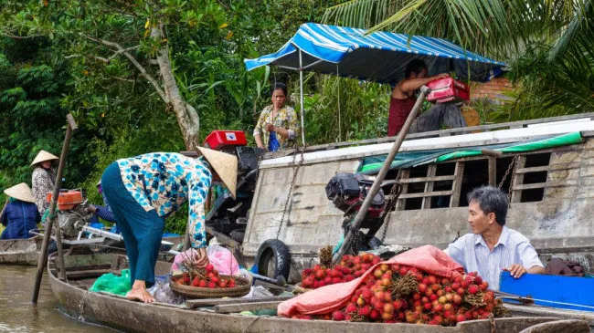 Khách Tây chia sẻ trải nghiệm khám phá Việt Nam bằng mô tô