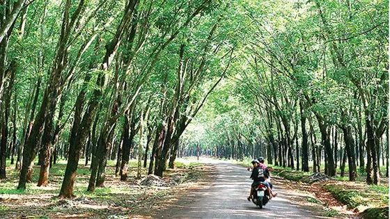 Khám phá Lộc Ninh