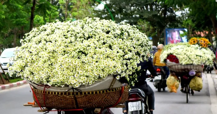 Không Nên Đi Du Lịch Hà Nội Vào Mùa Nào?