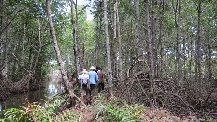 Khu du lịch sinh thái Rừng Đước Trà Vinh