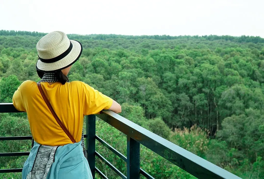 Khu du lịch sinh thái rừng tràm Trà Sư mùa nào đẹp nhất? Đáng để đi nhất?