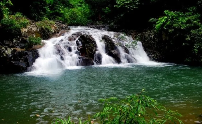 Kinh nghiệm đi du lịch Nha Trang tiết kiệm vào dịp tết