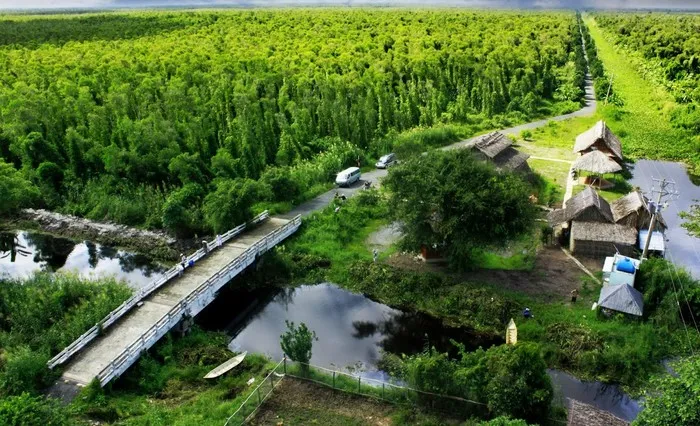 Kinh nghiệm phượt rừng U Minh Hạ Cà Mau: Ở đâu, thuộc tỉnh nào, có gì chơi?