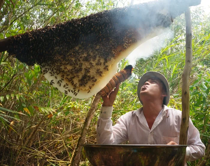 Kinh nghiệm phượt rừng U Minh Hạ Cà Mau: Ở đâu, thuộc tỉnh nào, có gì chơi?