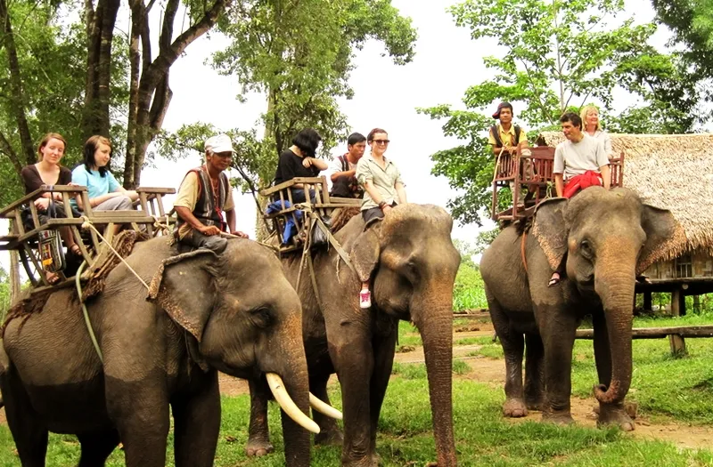 Lạc bước ở KoTam – Khu du lịch sinh thái thú vị xứ Buôn Ma Thuột