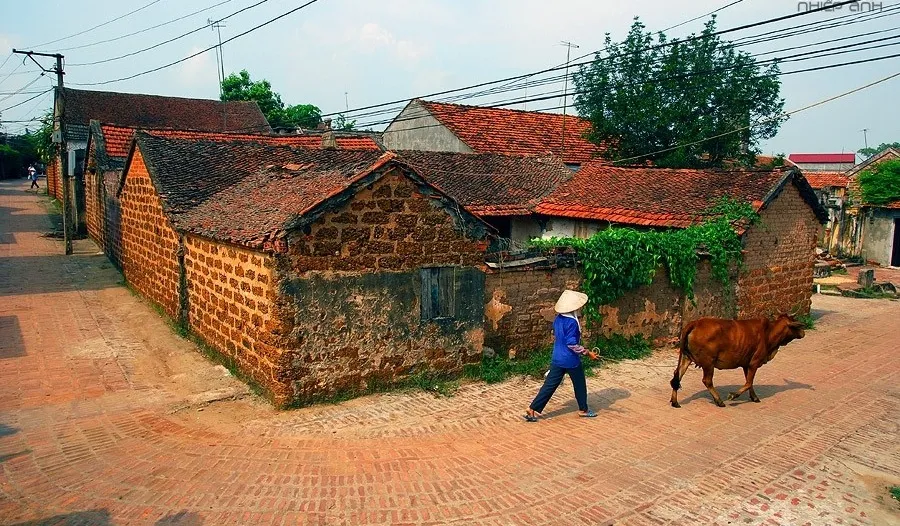 Làng Cổ Đường Lâm đi như thế nào?