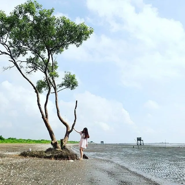 “Lết bánh vu vi bao đã” tại 6 BÃI BIỂN HOANG SƠ đẹp có tiếng gần Sài Gòn