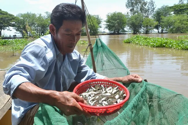 Miền Tây mùa nước nổi có những món ăn đặc sản nào nổi tiếng?