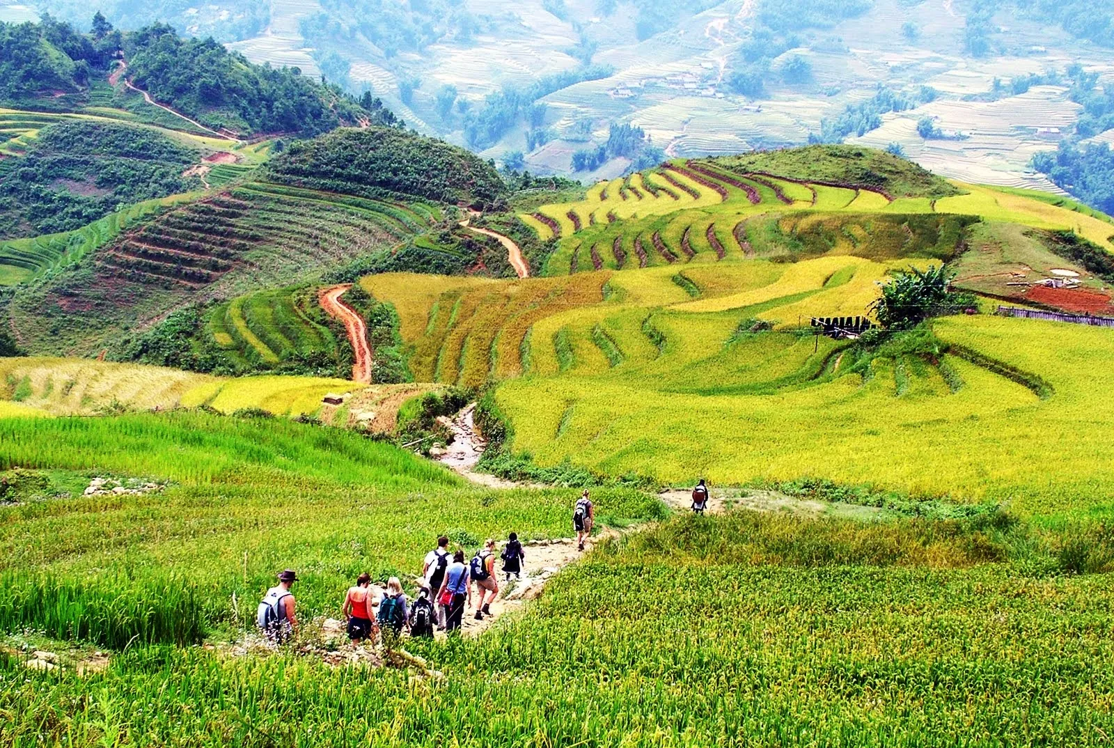 Một chuyến lên Sapa khám phá nét đẹp bản Lao Chải - Tả Van