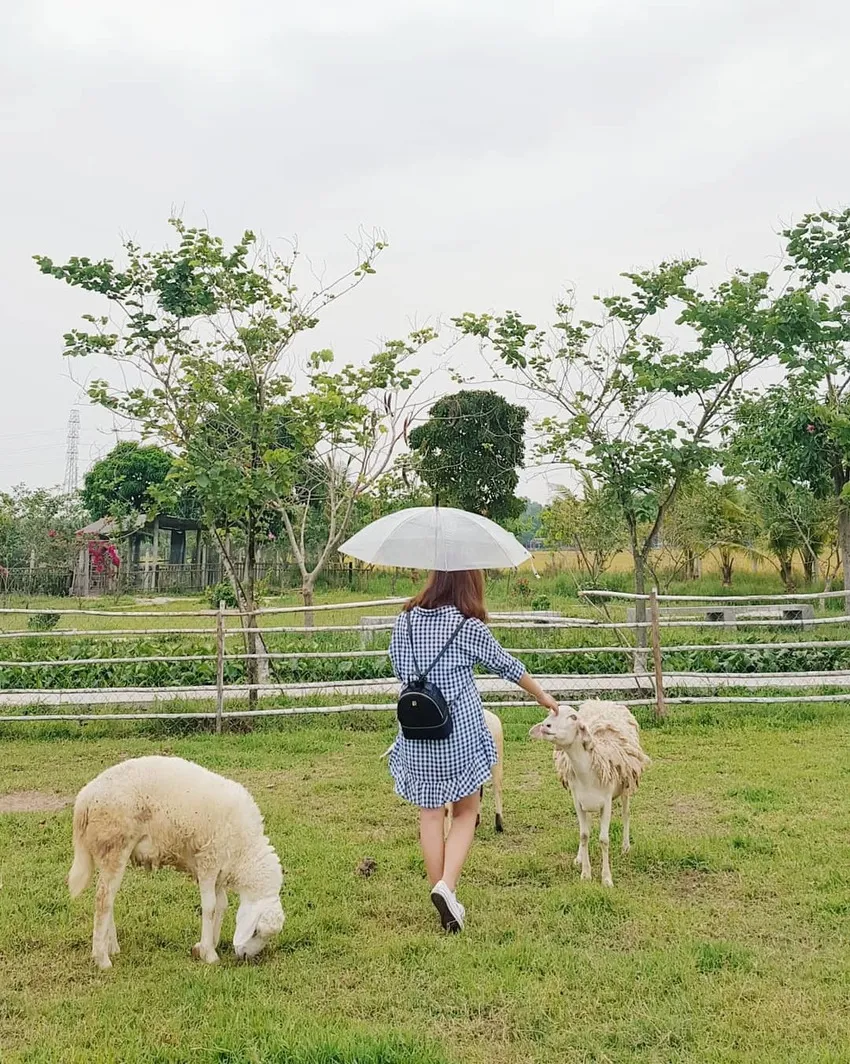 Mùa hè 2020 nên đi đâu chơi ở TP.HCM?