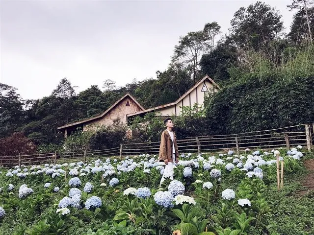 Nằm lòng trong tay 5 KHU VƯỜN CẨM TÚ CẦU Đà Lạt thả thính đầu năm