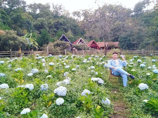 Nằm lòng trong tay 5 KHU VƯỜN CẨM TÚ CẦU Đà Lạt thả thính đầu năm