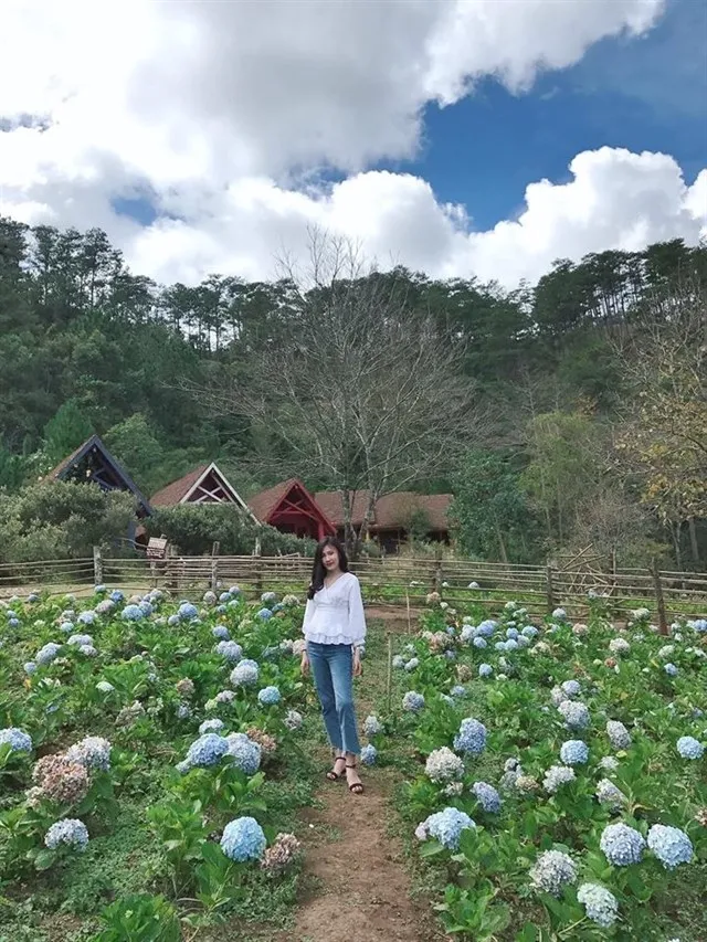 Nằm lòng trong tay 5 KHU VƯỜN CẨM TÚ CẦU Đà Lạt thả thính đầu năm