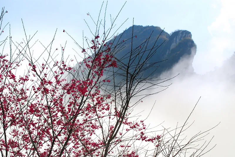 Nét đẹp hình ảnh núi Hàm Rồng ở Sapa